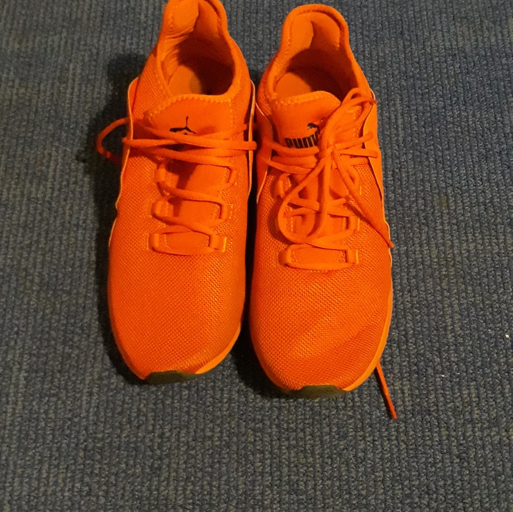 Pumas - Picture 2 of 2